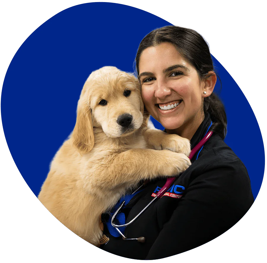 Dr. Ferrera with one of our canine patients.