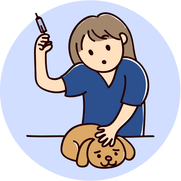 Veterinary Surgery Fort Lauderdale